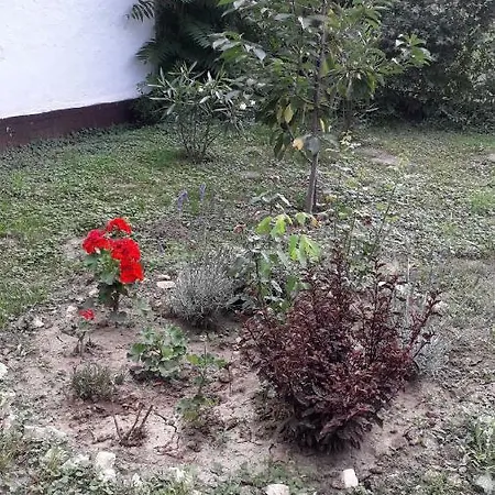 Cherry Apartman Abadszalok
